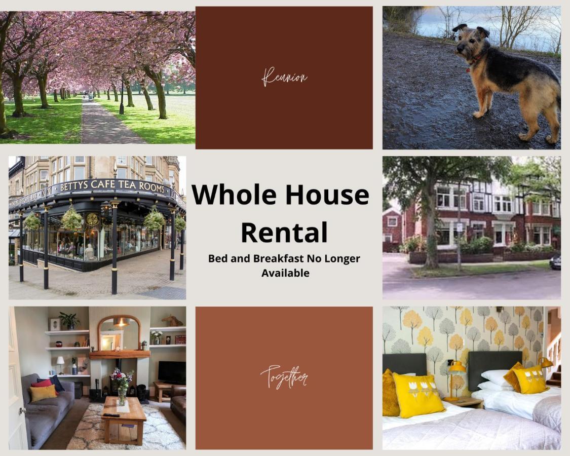 Acorn Lodge هاروغايت المظهر الخارجي الصورة